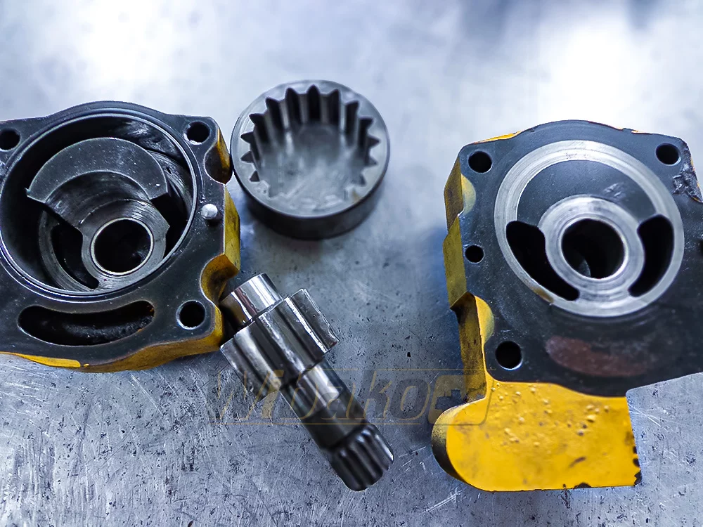 pump disassembly and verification