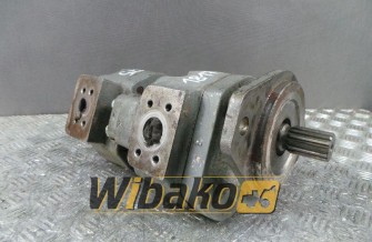 Gear pump David Brown SPAX2210/1909A21