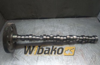 Camshaft Mercedes OM906LA R9060521301AJ12