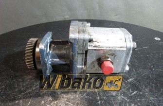 Gear pump Lamborghini MLPS/G/220/C 05/10/00