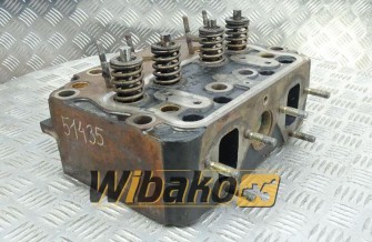 Cylinder head for engine Hanomag D964T 2870996R2