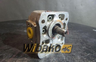 Gear pump HPI 71174528 B2043712