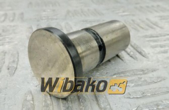 Tappet BF Original 20010510132