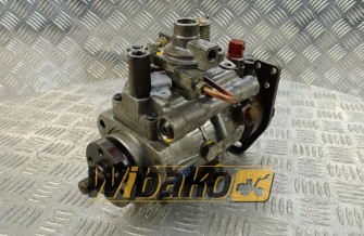 Injection pump Delphi 8920A802H