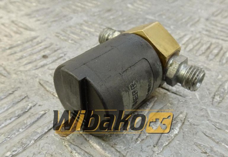 Flame solenoid valve Beru 0210143117