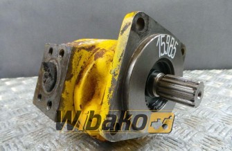 Gear pump David Brown P2C2120C5B2C