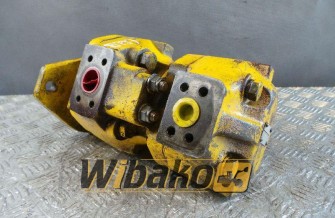 Gear pump David Brown PA2210/1909A3