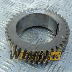 Gear wheel Cummins M11/QSM11-C 3084445 