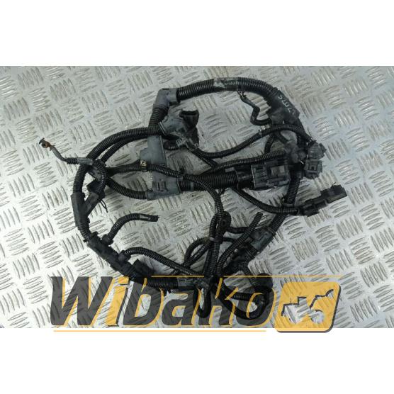 Electric harness Deutz TCD2013 L06 2V 04214493/04214476/04214225