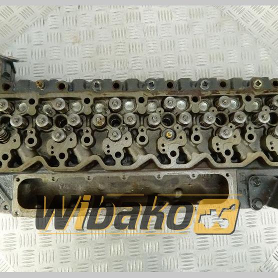 Cylinder head Iveco 4893044-02