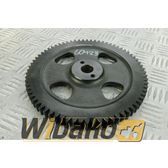 Injection pump gear Iveco 4896616