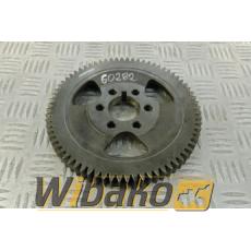 Timing gear Iveco 4896622 